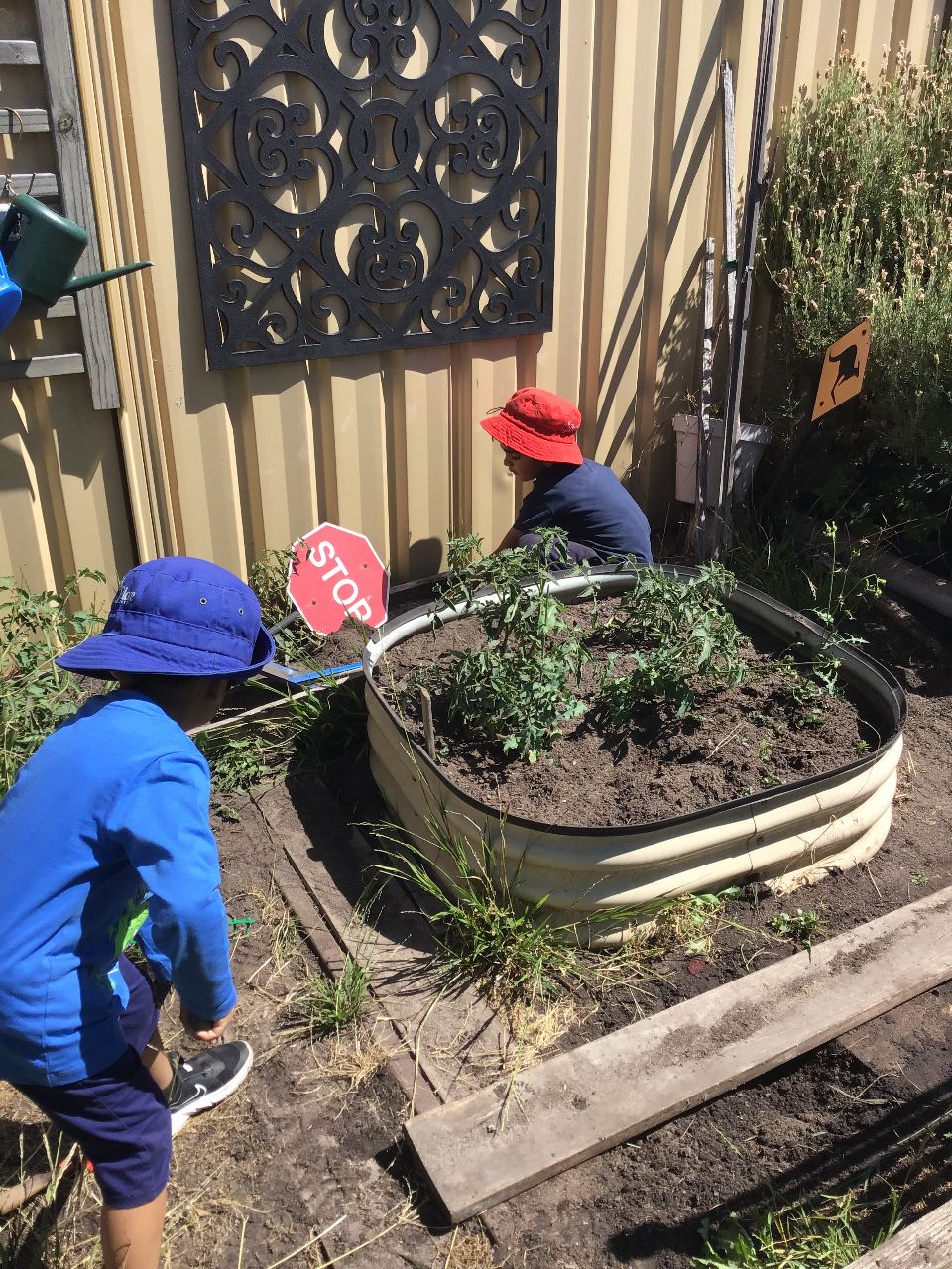 Kiddy Palace Learning Centre photo 3